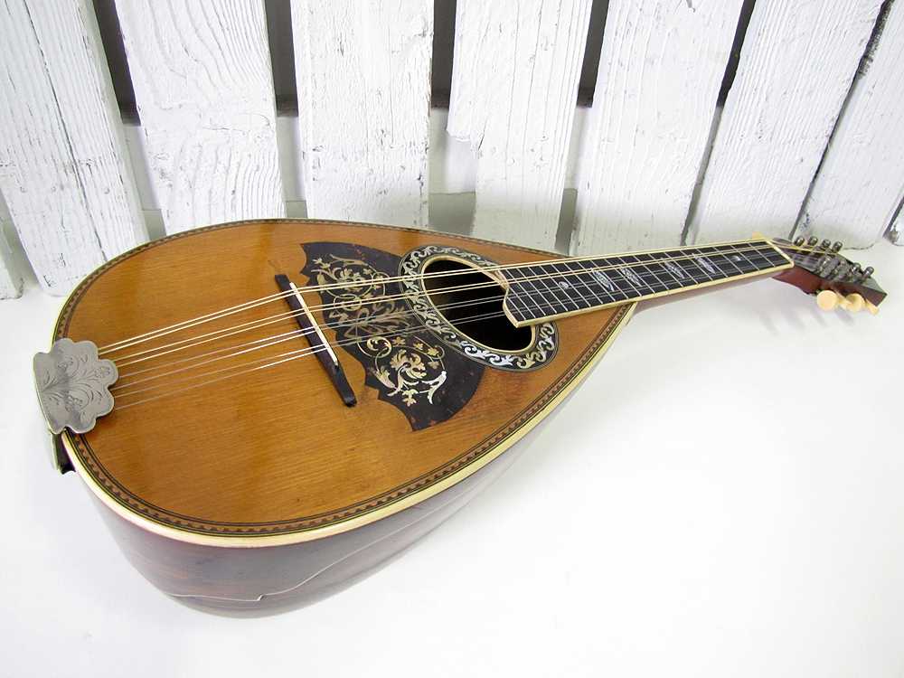 USED VINTAGE VEGA BOWL BACK MANDOLIN (1890's) FOLK INSTRUMENT eBay